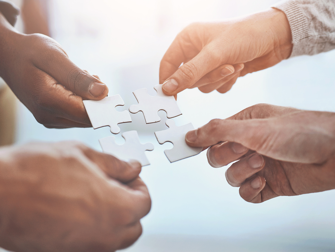 为什么选择双菱2